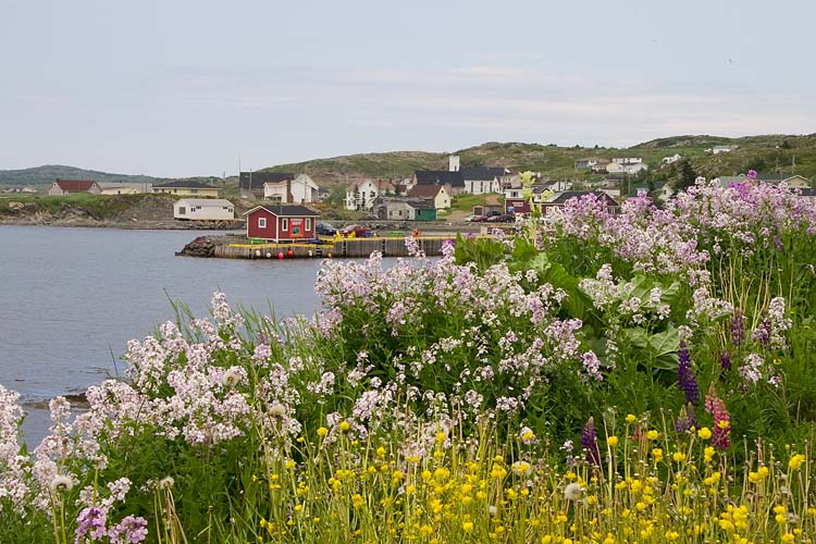 Back in Twillingate