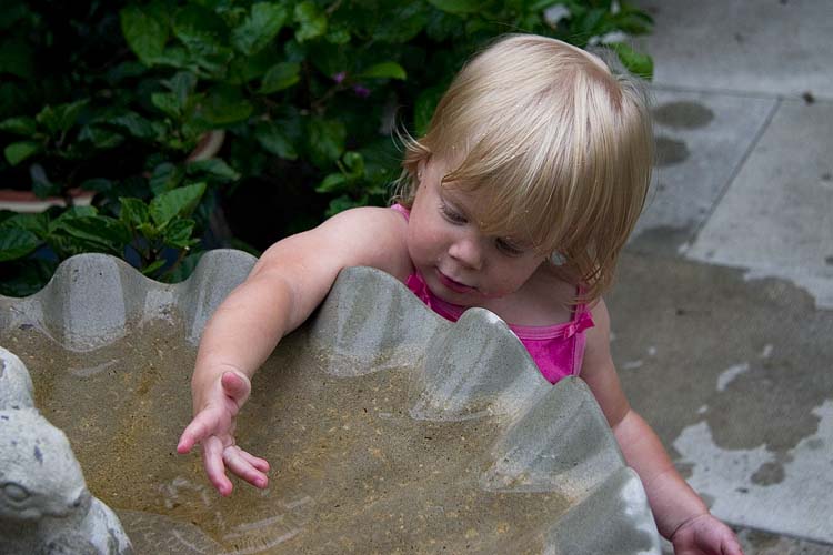 Grandma\'s Birdbath