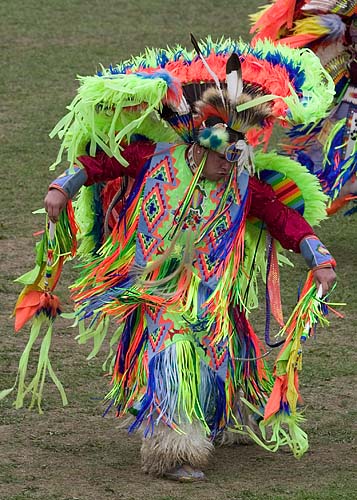 Fancy Dancer