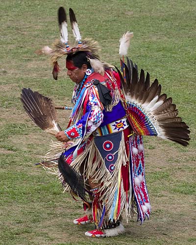 Dignified Traditional
