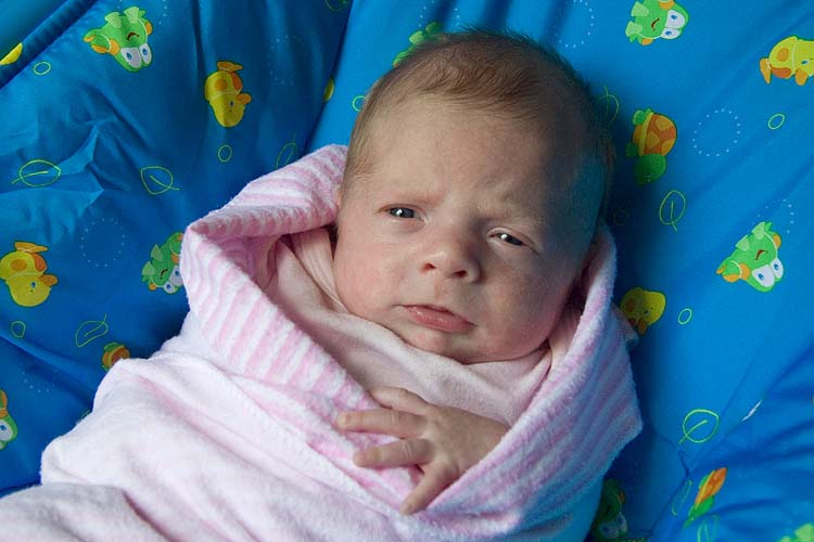 Baby Burrito
