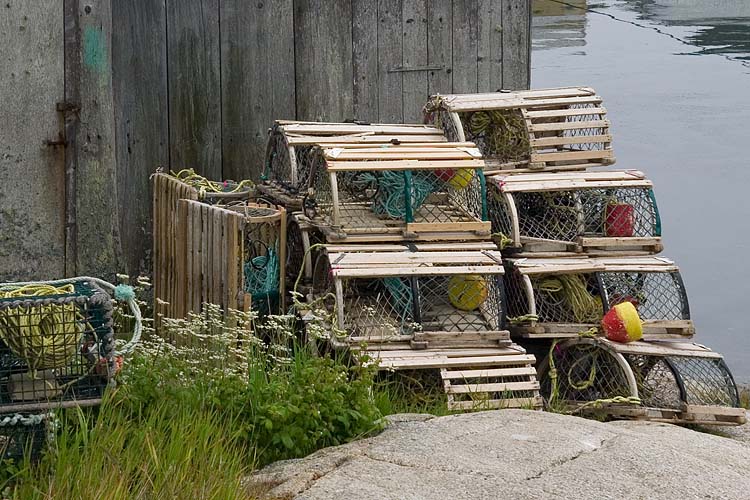 More Lobster Traps