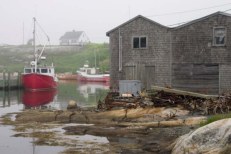 Misty Harbour