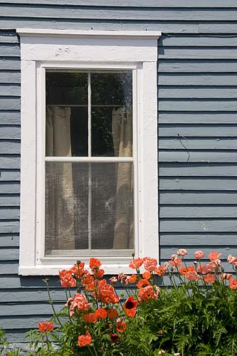 Window with Poppies