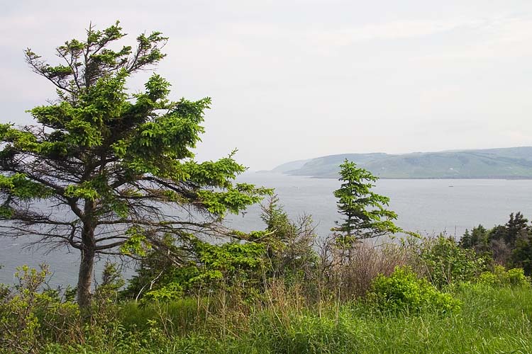 Coastline, Cape Breton Island