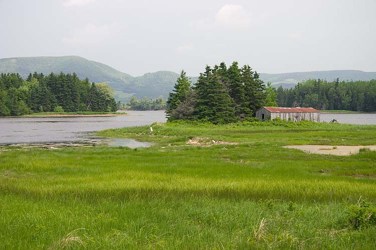 River Mouth