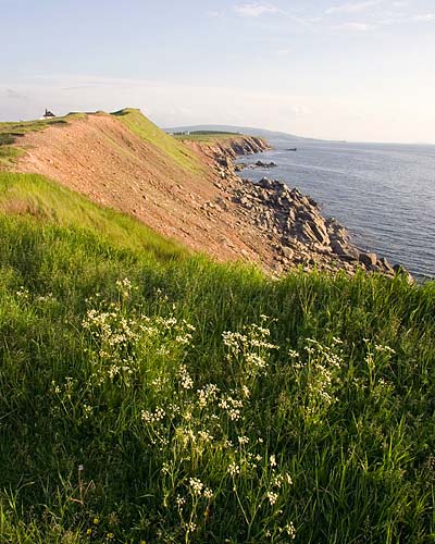 Evening Along The Coast