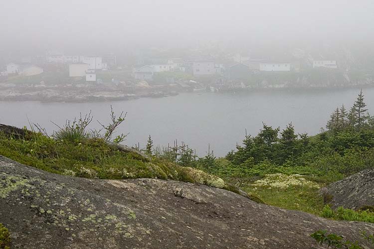 Fog Closing In
