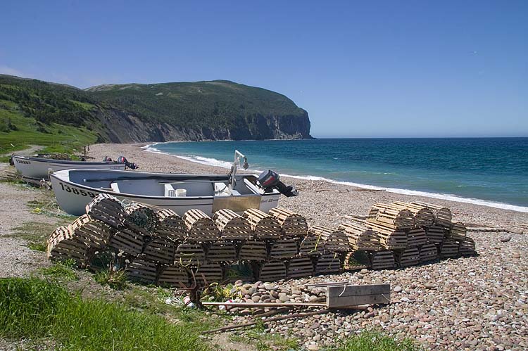 The French Shore