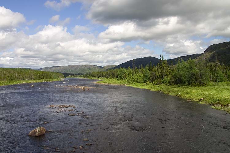 Newfoundland Interior