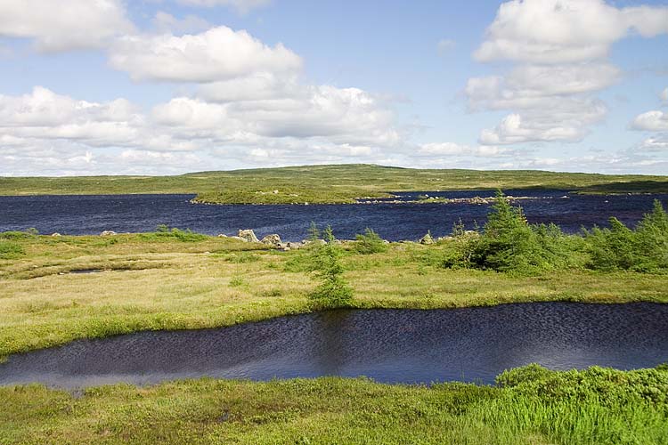 Buck Lake