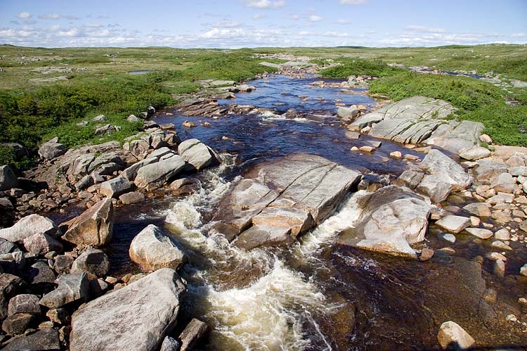 Seal Brook