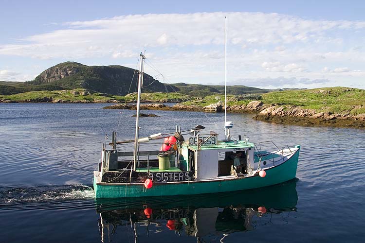Going Fishing