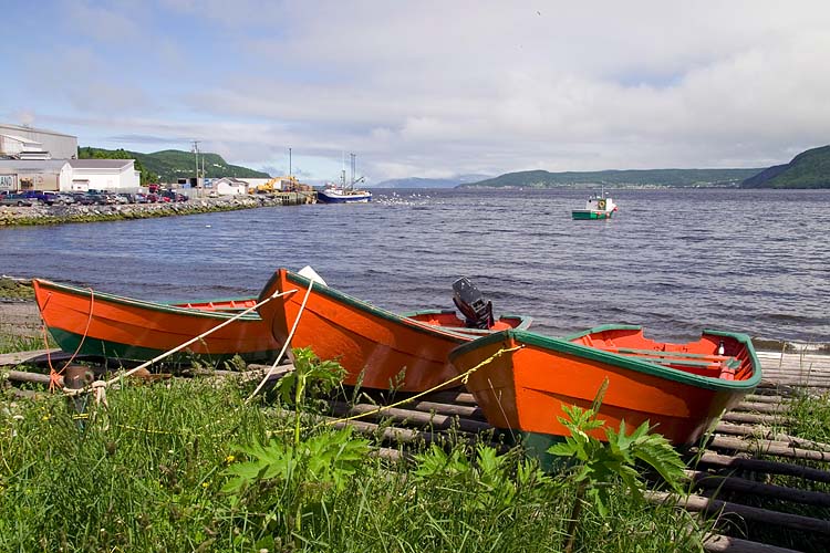Orange Boats
