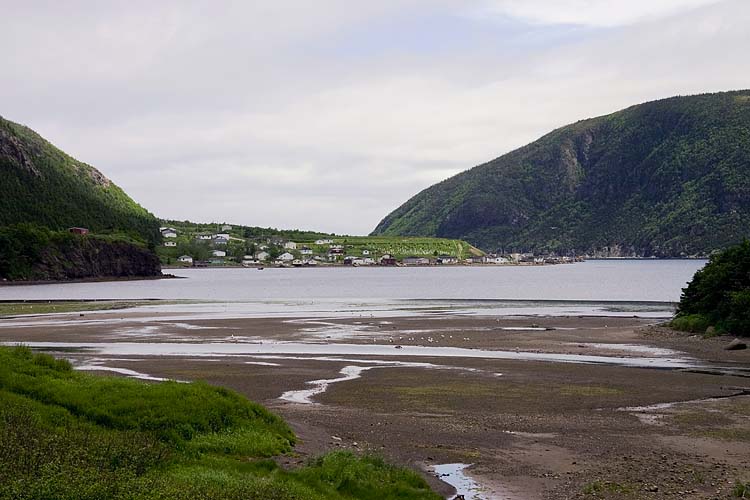 Lark Harbour