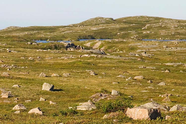 Rocky Barrens