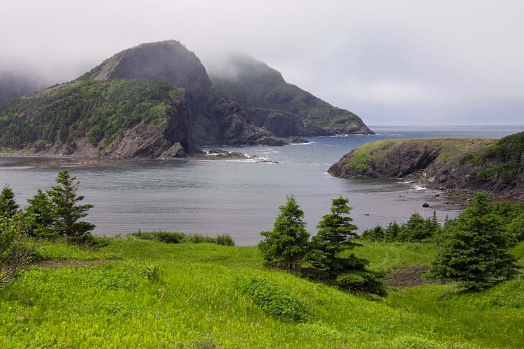 Bottle Cove