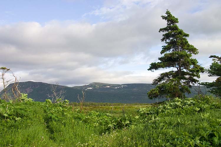 Gros Morne