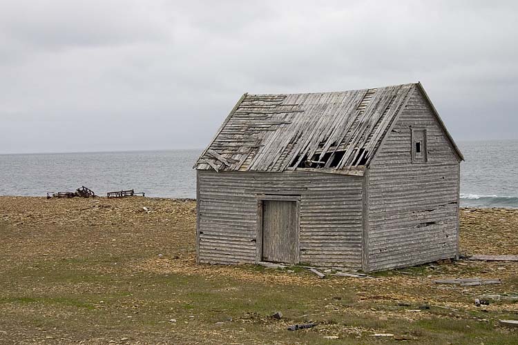 Overlooking the Strait of Belle Isle