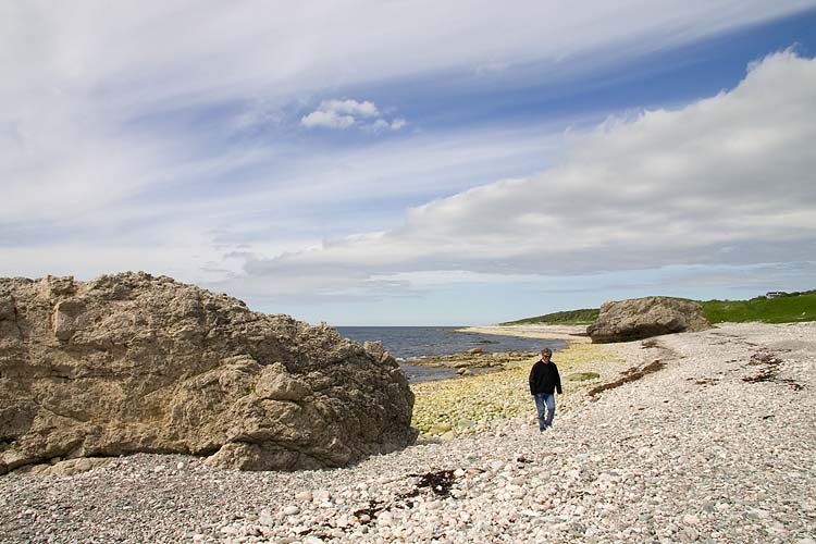 Along the Shore