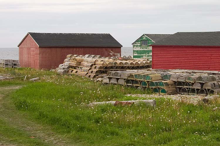 Lobster Traps