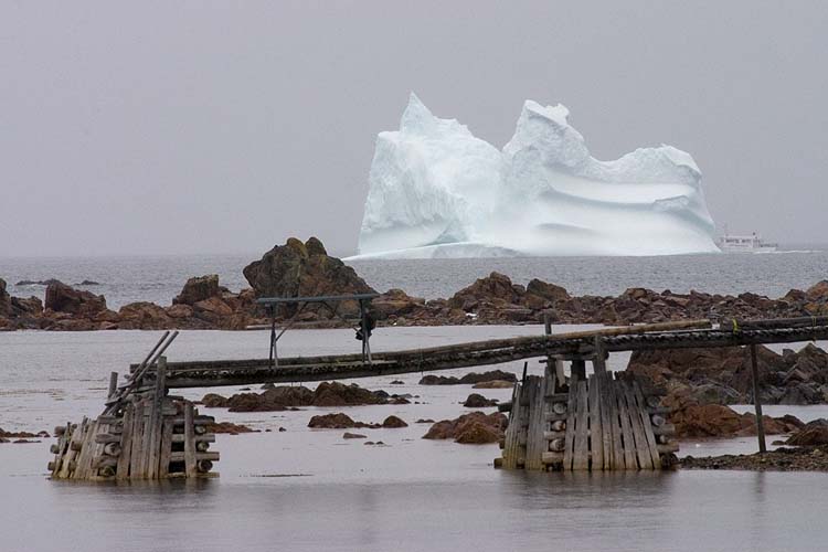 Iceberg