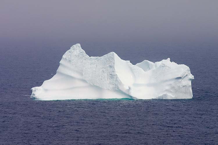 Iceberg