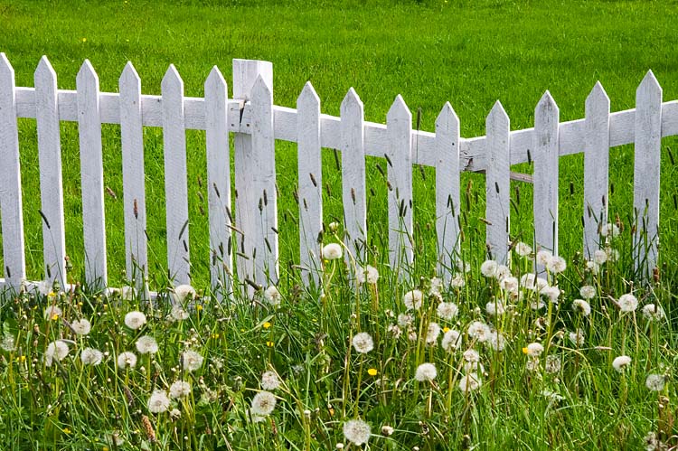 Picket Fence