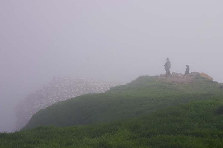 Lonely Overlook