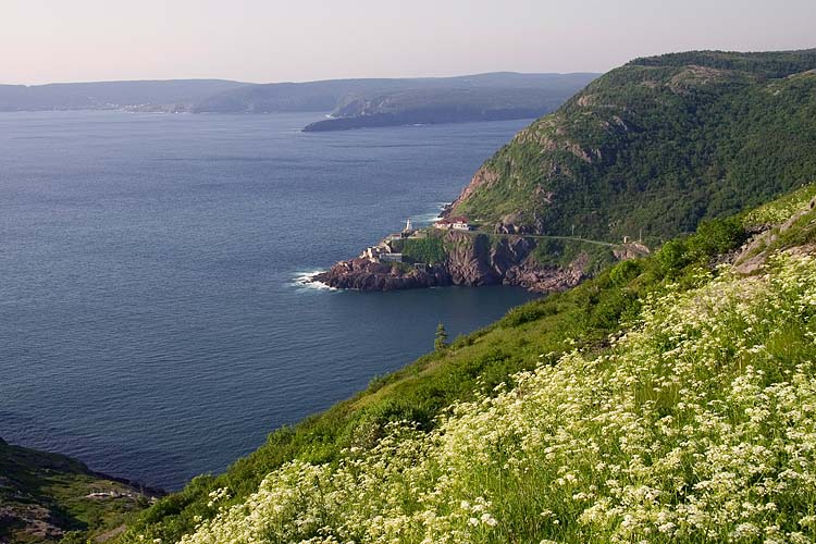 Coastline, St. John\'s