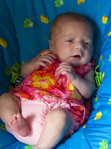 The Sundress