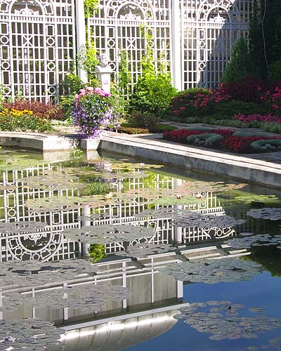 Reflections