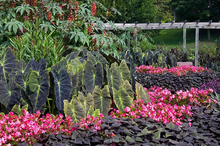 Garden of Giants