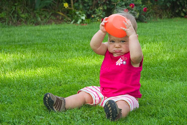 Orange Hat Society