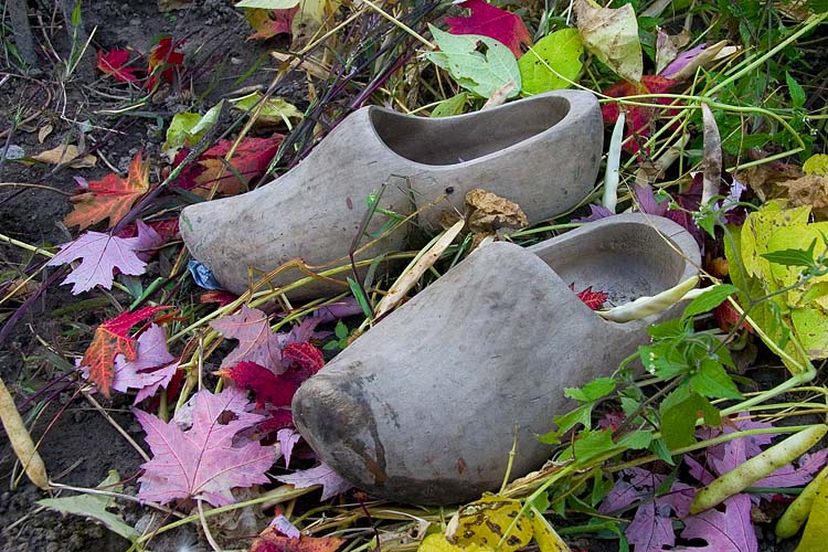 Empty Shoes
