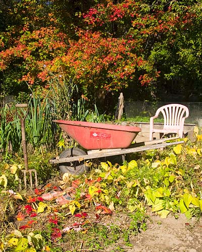 Empty Garden