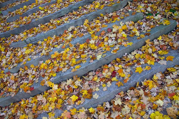 Autumn Treads