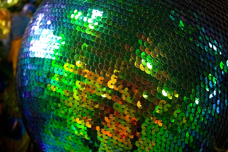 Sequined Splendor