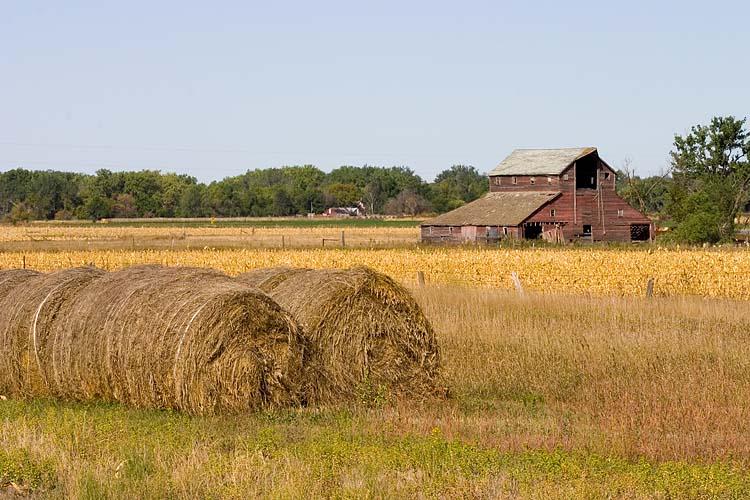 Old Barn