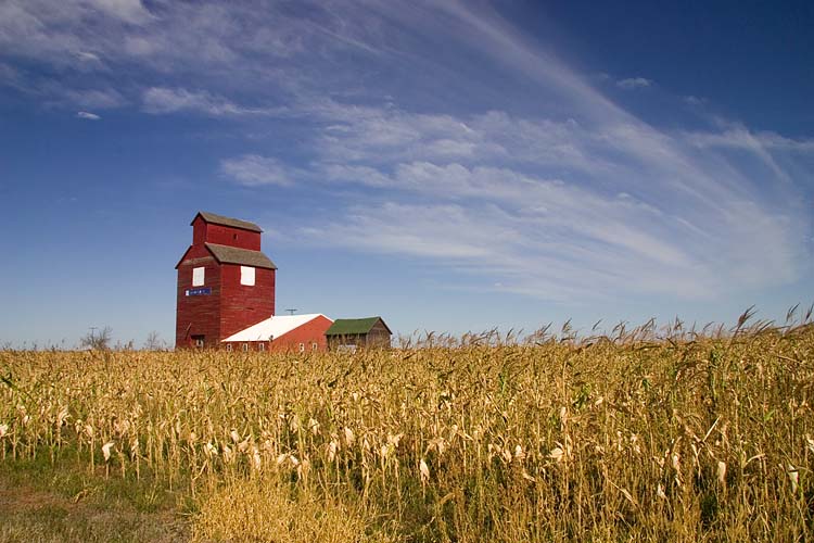 Grain Elevator