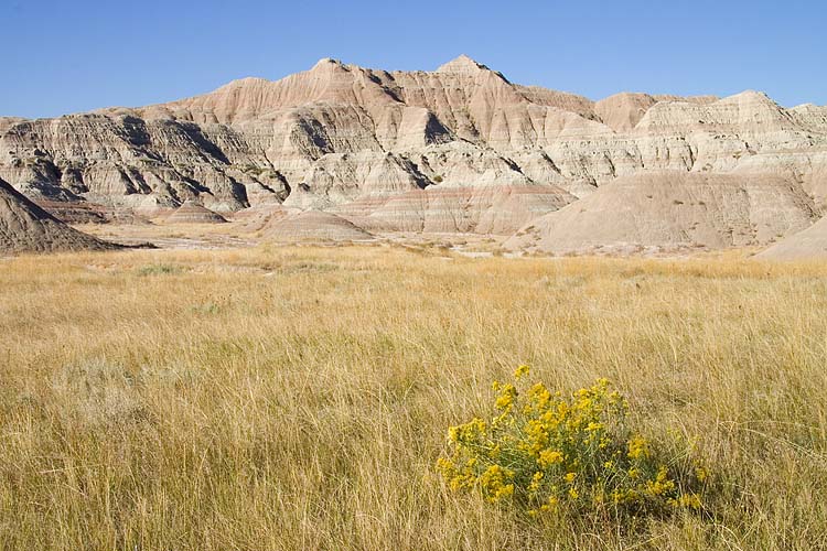 Conata Basin