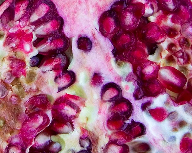 Pomegranate Portrait