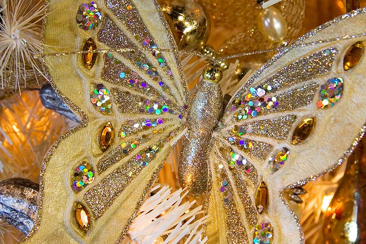 Golden Butterfly