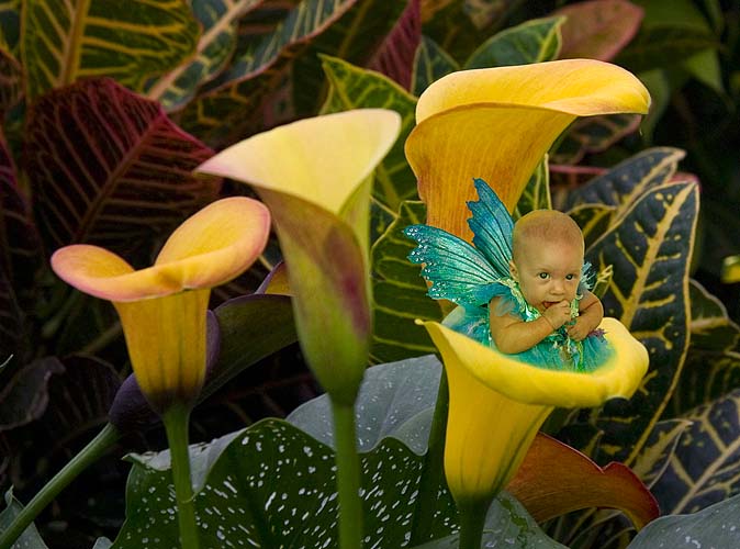 Little Blue Flower Fairy