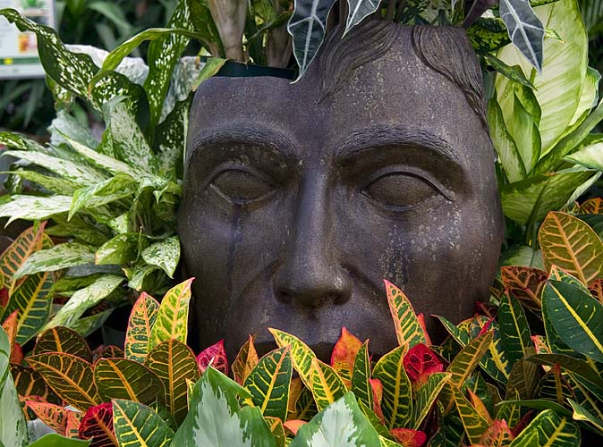 Tropical Statue