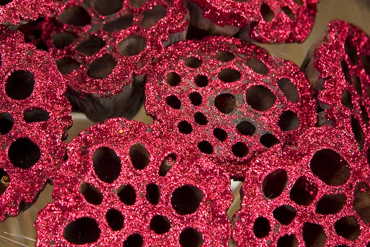 Sparkly Lotus