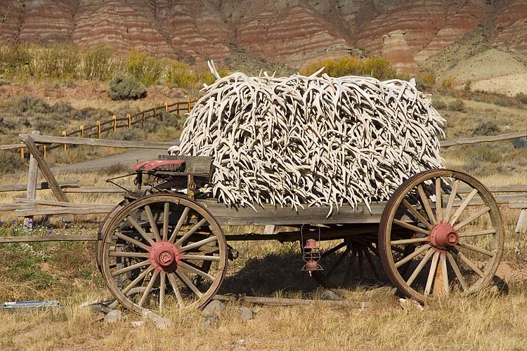 Wagon with Antlers