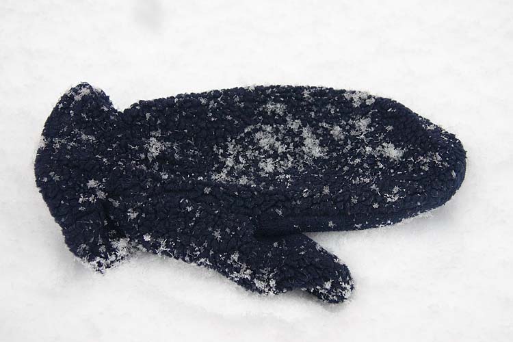 Mitten in the Snow