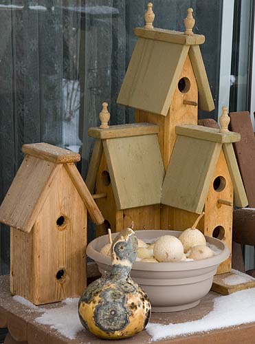 Porch Still-Life