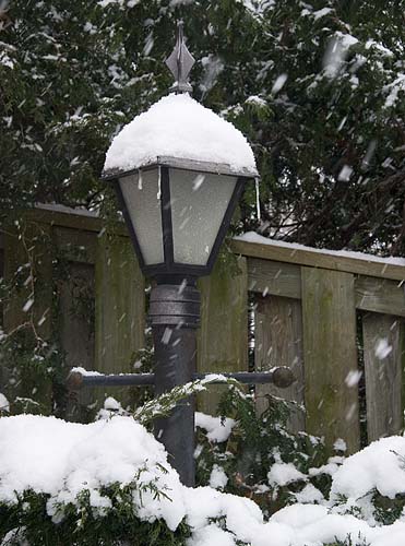 Snow & Icicles